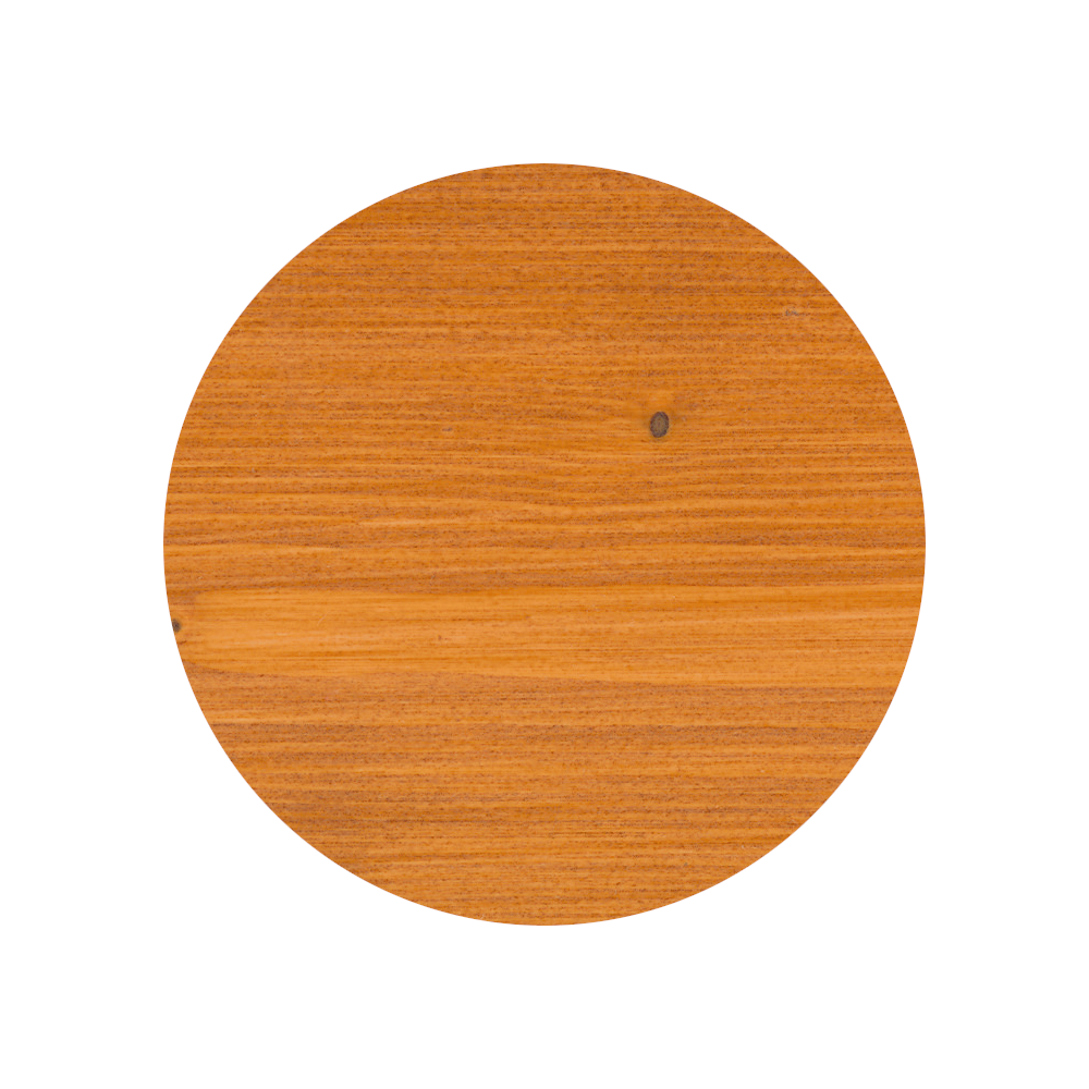 728 Zeder Varianten Bild