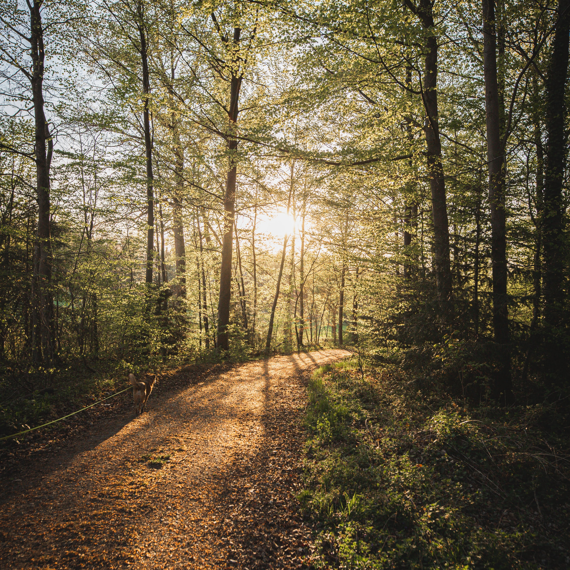 Bild von Perfekte Lage