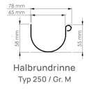 Vorschaubild Dachrinne Typ 250 /200 cm weiß