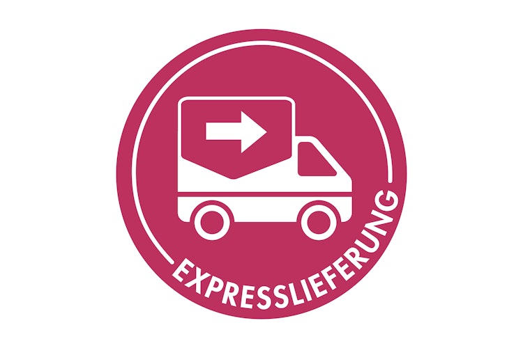 Karibu Gartenhaus Timmo - 19 mm inkl. gratis Expressversand