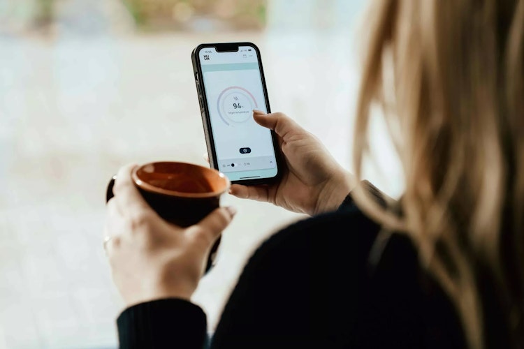 Karibu 9 kW Bio-Kombiofen anthrazit inkl. Huum WLAN Steuergerät mit App-Steuerung